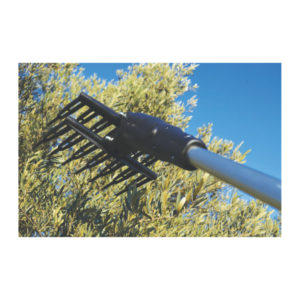 olivgreen-s3-5.png