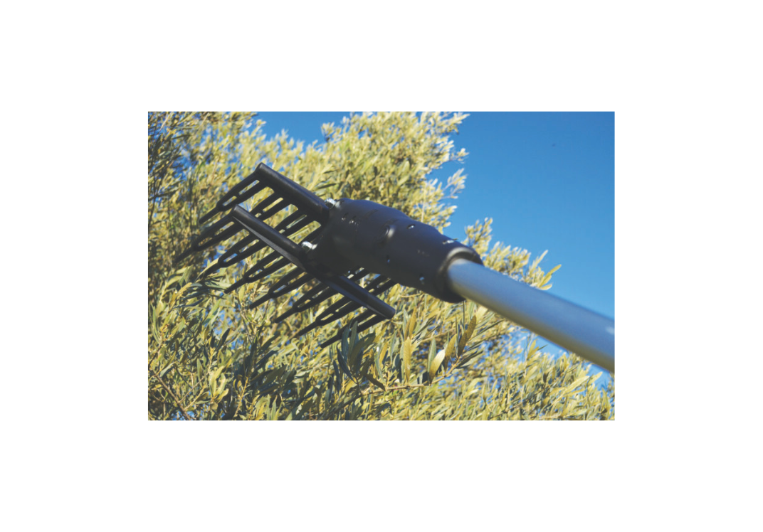 olivgreen-s3-5.png